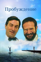 Пробуждение (1990)